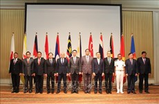 越南提出促进东盟与日本防务合作的措施