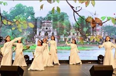 旅德越南人社群举行2024甲辰年春节迎春活动