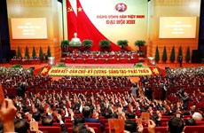 越南共产党建立94周年：印度专家高度评价越南共产党的领导作用