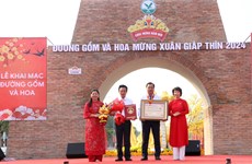 永隆省创下“越南最长赤陶与花卉街”纪录