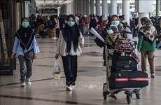 马来西亚开通新航线  吸引更多印尼游客前来旅游