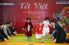 越南春节交流活动在日本广岛举行