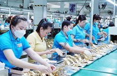 胡志明市需招聘约5.2万个工作岗位