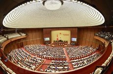 越南国会常委会第三十次会议就两项法案建言献策