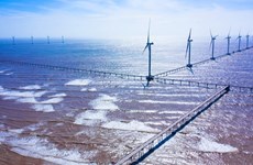 越南充分挖掘海上风电制氢优势