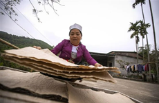 越南和平省芒族人楮纸制造业  承载独特文化内涵 