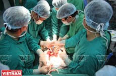 越南2·27医生节69周年：越南器官移植事业的历史成就