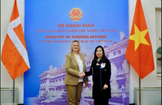 越南与丹麦外交部第二次政治磋商会议在河内举行