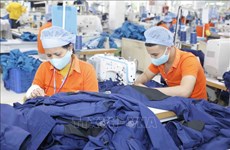 越南企业出口订单正在回升