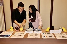 越南和日本协调 保护知识产权 防止假冒商品