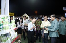 2024年柬老越发展三角区贸易、投资、旅游和艺术表演展览会开幕