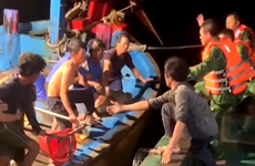 越南成功救援海上遇险11名外籍船员并移交有关国家
