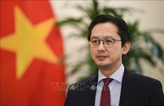 越南担任2023-2025年任期联合国人权理事会成员一年来留下的烙印