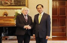 越南外交部长裴青山会见爱尔兰总统希金斯