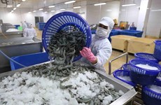越南对中国的虾类出口额同比增加275% 