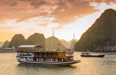 越南北部各省旅游突破发展