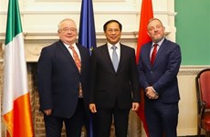 越南外交部部长裴青山同爱尔兰参众两院议长  同外交部部长举行会见会谈
