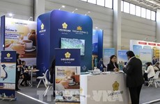 越南70家企业参加2024年德国柏林国际旅游贸易展览会