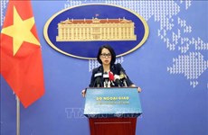 越南强烈谴责针对国际海运航线的暴力、无人道袭击行为