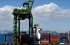 越南对巴西商品出口额大幅增长