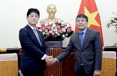 越南外交部副部长与日本外务副大臣举行会谈