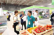 2024年越南果蔬及花卉园艺展在胡志明市举行 