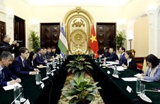为加强越南与乌兹别克斯坦的合作关系注入新动力