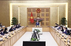 为越南文化保护与弘扬工作制定突破性机制和政策