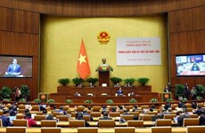 越南第十五届国会常委会第三十一次会议：巩固有利于建国卫国事业的外交局面
