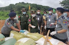缅甸北部查获超过26吨前体化学品