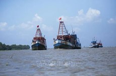 越南严格管理侵犯外国海域的“高风险”渔船