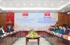 促进越南祖国阵线河内市委员会和上海市政协的合作