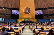 联合国大会通过由越南主导提出的“国际玩耍日”决议