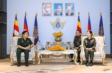 越南与柬埔寨加强国防军事法律领域的合作