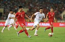 世预赛：越南国足0-3不敌印尼 越方与主教练特鲁西埃终止合同