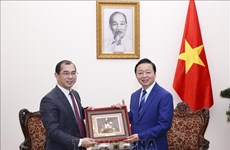 政府副总理陈红河会见中国能建国际集团总经理乔旭斌