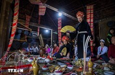越南两个非遗将申请世界文化遗产