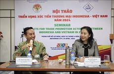 越南与印尼促进贸易合作