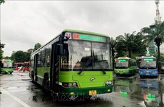 4月1日起胡志明市将有200多辆新公交车投入运营