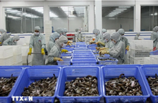 美国将对进口自越南虾类征收暂定反补贴税