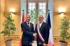 越南与法国各地方加强合作