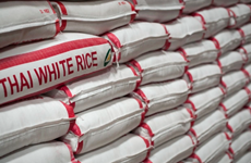 泰国预计向意大利出口更多大米