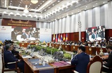 越南出席在老挝举行的东盟金融银行政策对话会