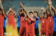 越南国家男子足球队在 4 月份 FIFA 排名中下降 10 位