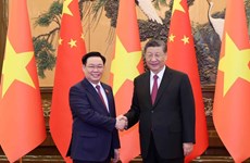 越南国会主席王廷惠会见习近平总书记、国家主席