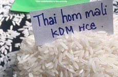 泰国预测今年第二季度大米价格将上涨