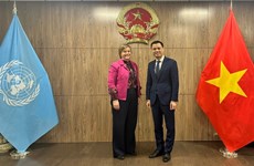 联合国希望加强合作并支持越南关爱和保护儿童