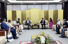  发展法国伙伴与岘港市的友好合作关系