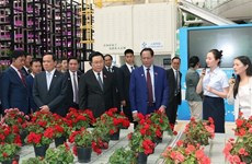 越南国会主席王廷惠参观中国云南省典型经济模式