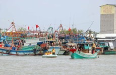 越南政府签发“打击非法捕捞行动计划”